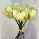 12" TULIP SATIN BUNDLE X6 GREEN