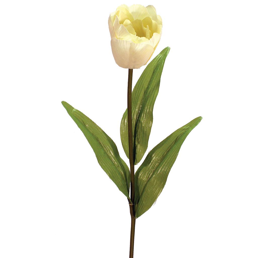 [S532633-CRM] 24" TULIP STEM (6 PC BG) CREAM