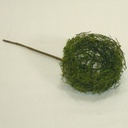 NEST 4" MOSSY W/9" PICK