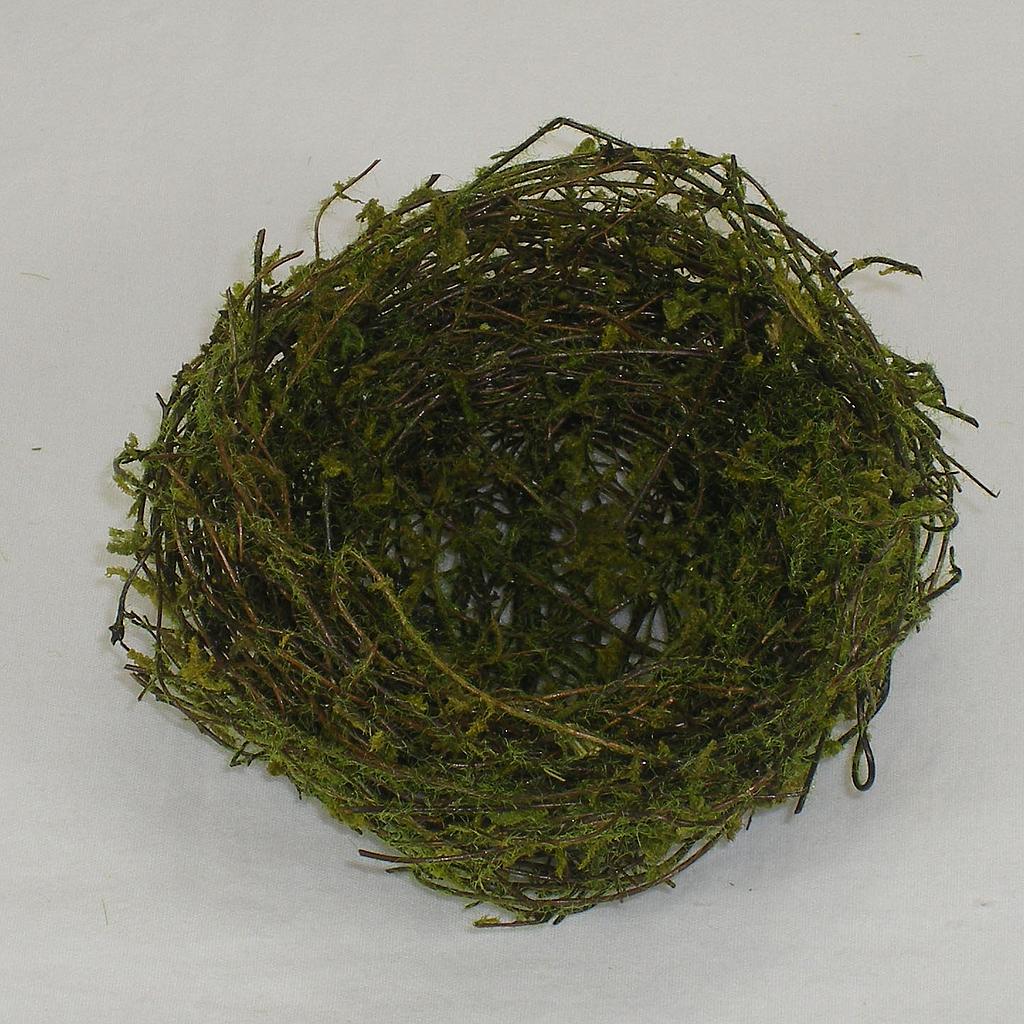 4" NEST MOSSY