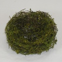 5" NEST MOSSY