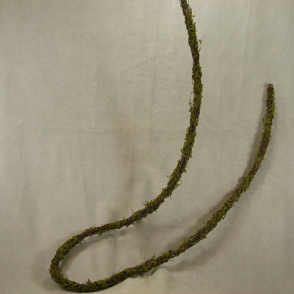 70" VINE MOSSY