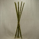 29" MOSSY STICKS BUNDLE OF 6