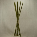 MOSSY STICKS 29" BUNDLE OF 6