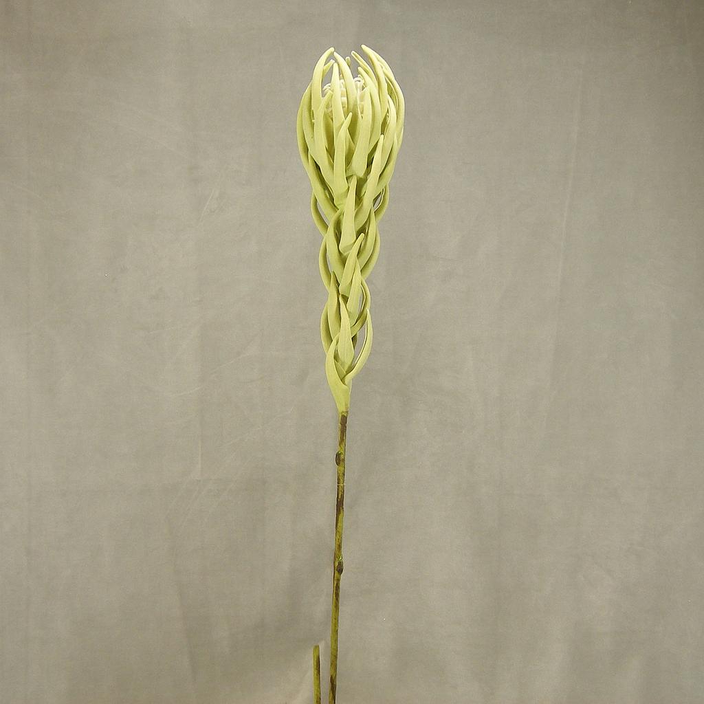 [SA4035] 40" TROPICAL FLOWER