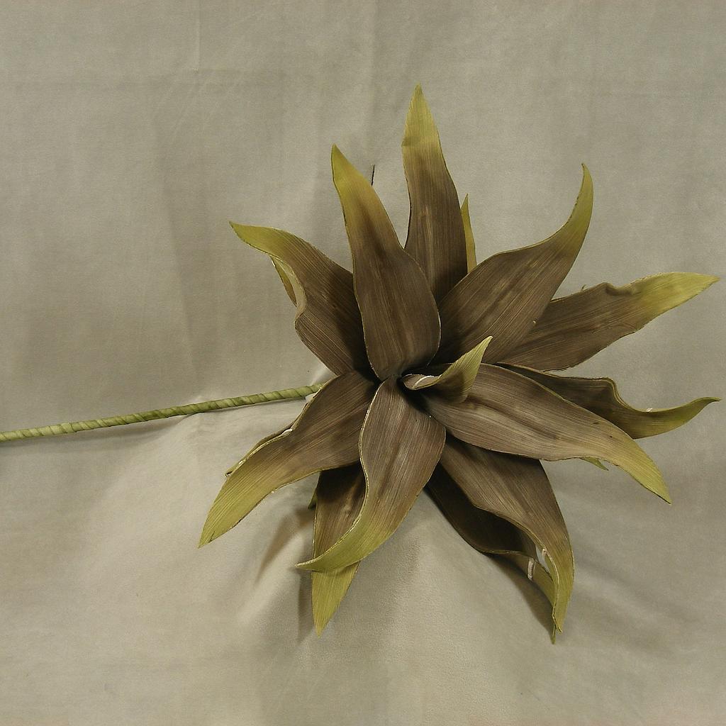 TROPICAL PLANT 43"