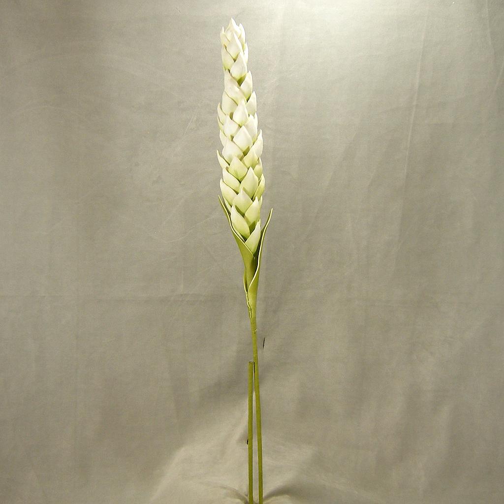 [SA4048] 43" TROPICAL FLOWER