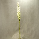 43" TROPICAL FLOWER