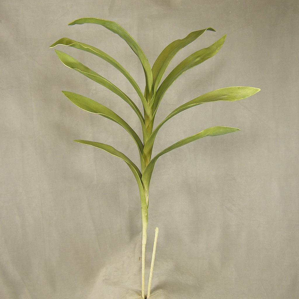 [SA4050] 48" TROPICAL PLANT