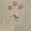 17" AMERICANA STAR PICK