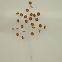 8" GEM PICK COPPER