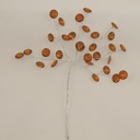 6.5" GEM PICK COPPER