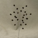 ACRYLIC BEAD PICK 8"  BLACK