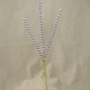 TWISTED SPRAY X3 29"  BLUE/FUCHSIA/WHITE