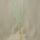29" TWISTED SPRAY X3 GREEN/BLUE/WHITE