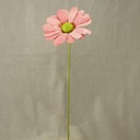 7" DAISY DIA. 25" O.A.L. PLAID