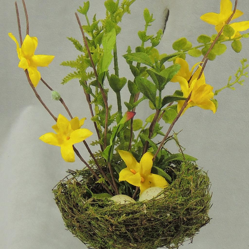 16" FORSTHYIA PICK W/NEST