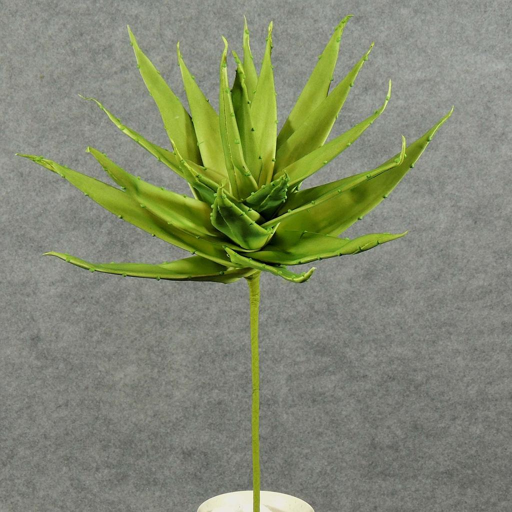 [SA5003-GRN] 22" SUCCULENT PLANT
