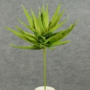 SUCCULENT PLANT 22"