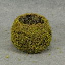 BASKET BOWL SHAPE TWIG/MOSS 5.5"H X 4"O