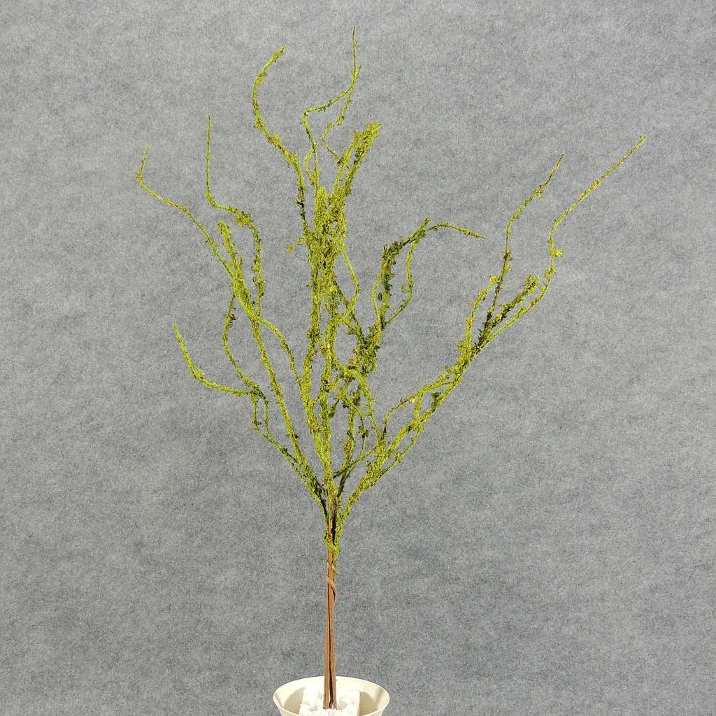 TWIG BRANCHES MOSS/FLOCKED 24" X5 GREEN