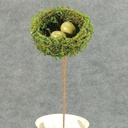 4" NEST MOSS/TWIG W/EGGS ON PIC
