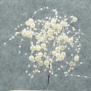 6" PEARL BEAD SPRAY PICK WHITE
