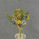 13" FORSYTHIA/PANSY BUNDLE X6 YELLOW/PURPLE
