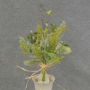 13" PUSSY WILLOW MIX BUNDLE X6