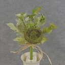 LEAF BUNDLE W/NEST 13" X6