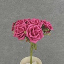 10" ROSE OPEN BUNDLE X9 BEAUTY