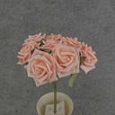 ROSE OPEN BUNDLE X9 10"  PEACH
