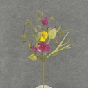 PANSY MIXED SPRAY 20"