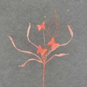 BUTTERFLY GRASS SPRAY 30"  CORAL
