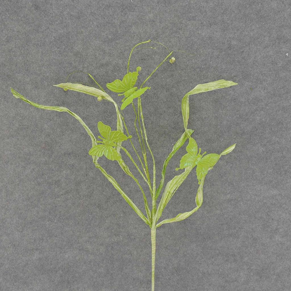 BUTTERFLY GRASS SPRAY 30"  LIGHT GREEN