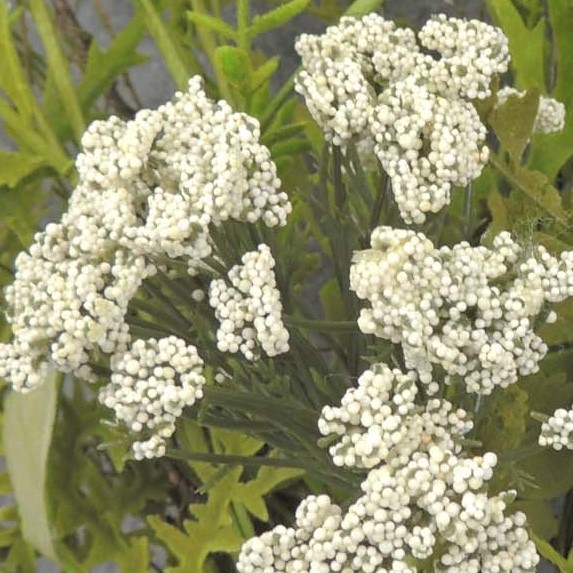 40" FLOWERING TWIG SPRAY H.WRAP  CREAM