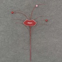 19" HOT LIPS SPRAY