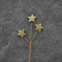 STAR PICK X3 19" (6/BAG) SMALL  GOLD