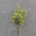13" FERN/SUCCULENT/QAL PICK