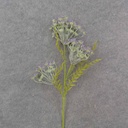 26" QUEEN ANNES LACE STEM PURPLE
