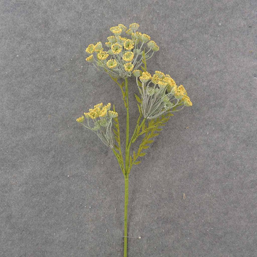 [SA9018-YEL] 26" QUEEN ANNES LACE STEM YELLOW