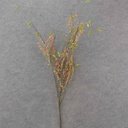 BUBBLEBERRY TWIG SPRAY 42" ORANGE