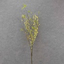 42" BUBBLEBERRY TWIG SPRAY YELLOW