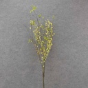 BUBBLEBERRY TWIG SPRAY 42&quot; YELLOW