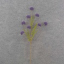 28" THISTLE SPRAY X8 PURPLE