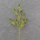 28" THISTLE SPRAY X8 GREEN HANDWRAPPED