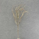 TWIG SPRAY X7 37" GREEN/BROWN DARK GR
