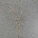 38" TWIG SPRAY X9 BROWN/GREEN