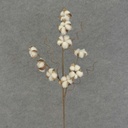 COTTON/TWIG SPRAY X3 25"