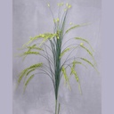 36" GRASS ONION W/BUBBLEBERRIES (6/BAG)